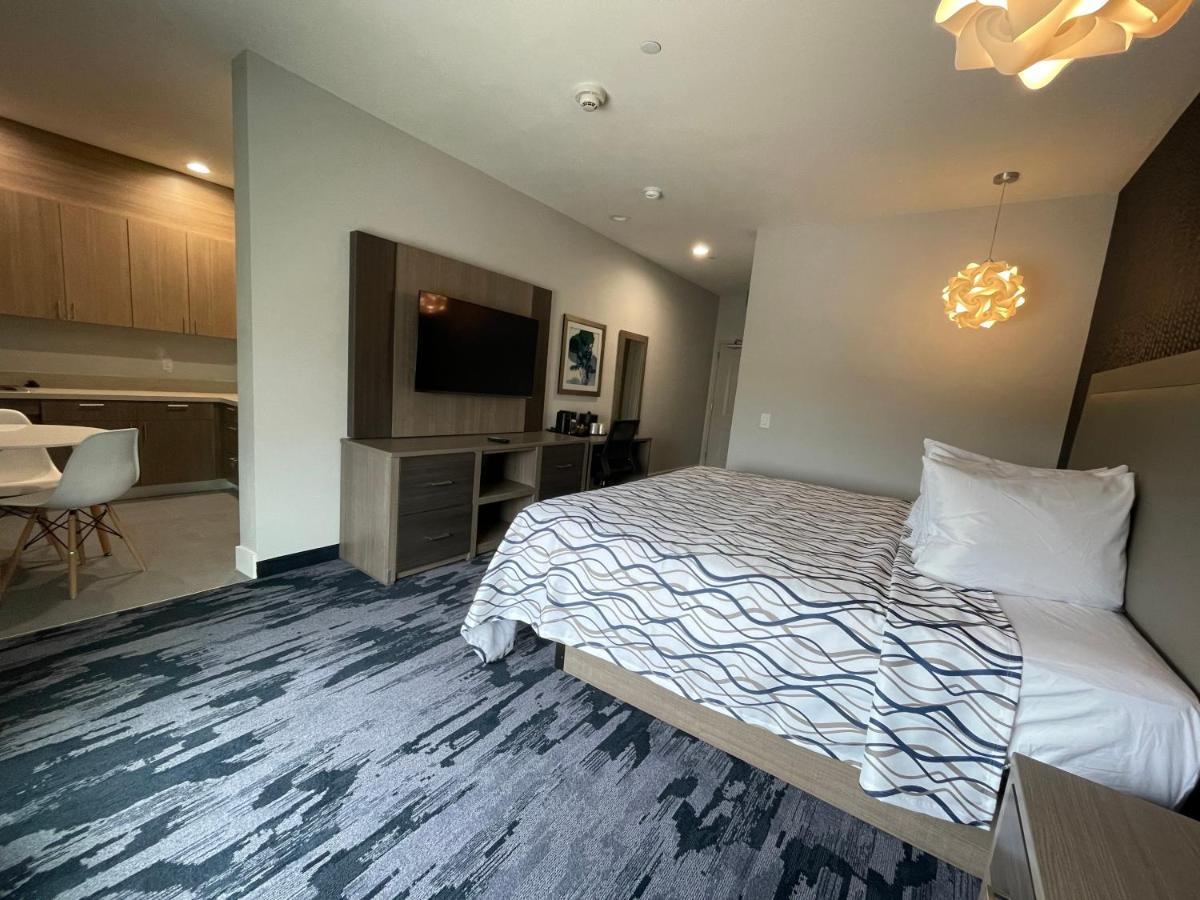 Palace Blue Houston East Beltway 8 Otel Cloverleaf